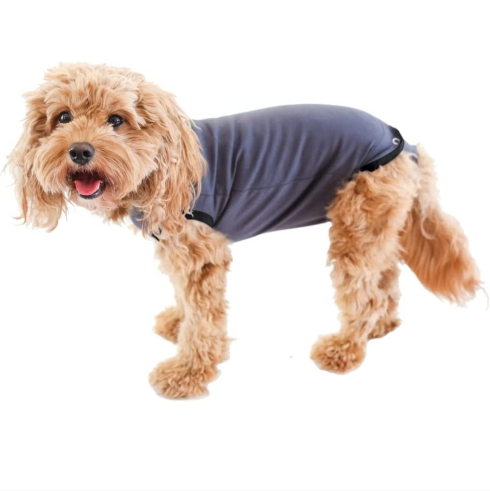 NWT Recovery Onesie For Dog Large